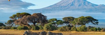 Maasai Mara